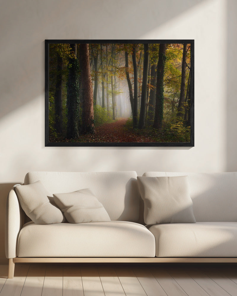Bunter Herbstwald | Leinwand