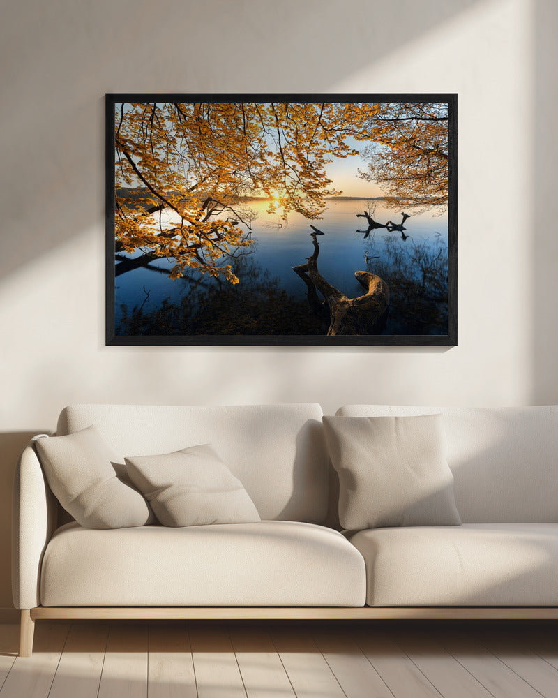 Herbstmorgen | Leinwand