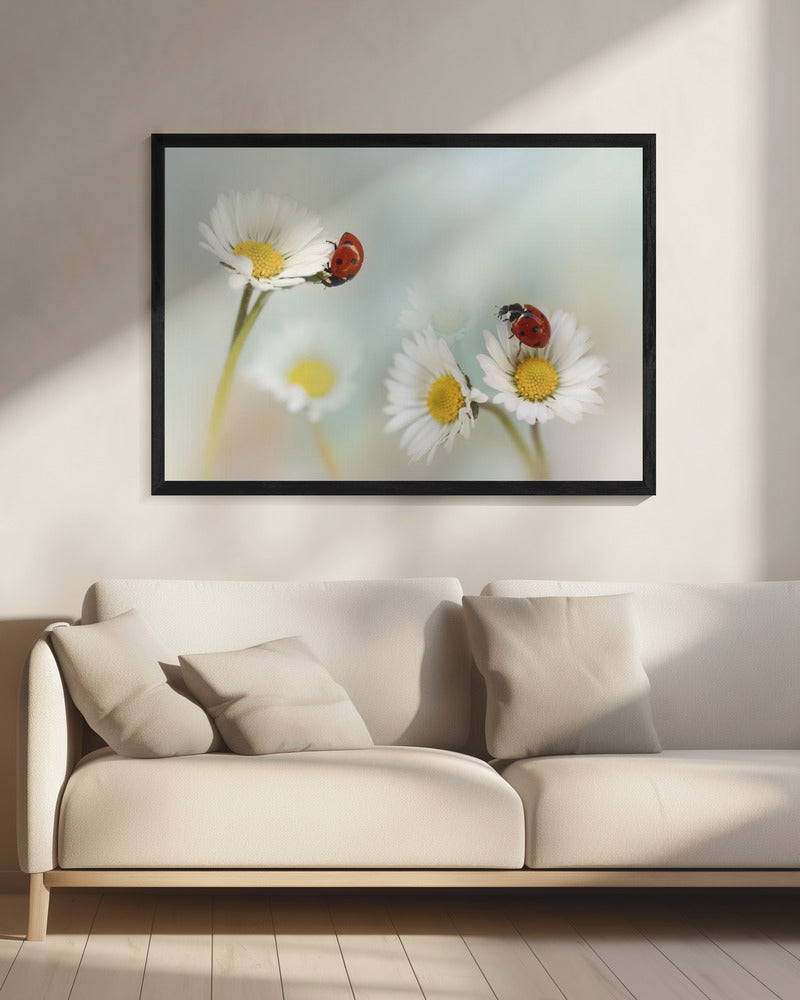 Frühling.... | Leinwand