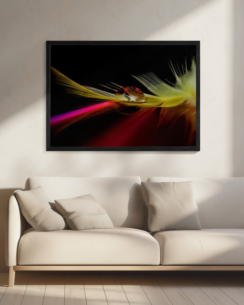 Farben im Tropfen | Leinwand