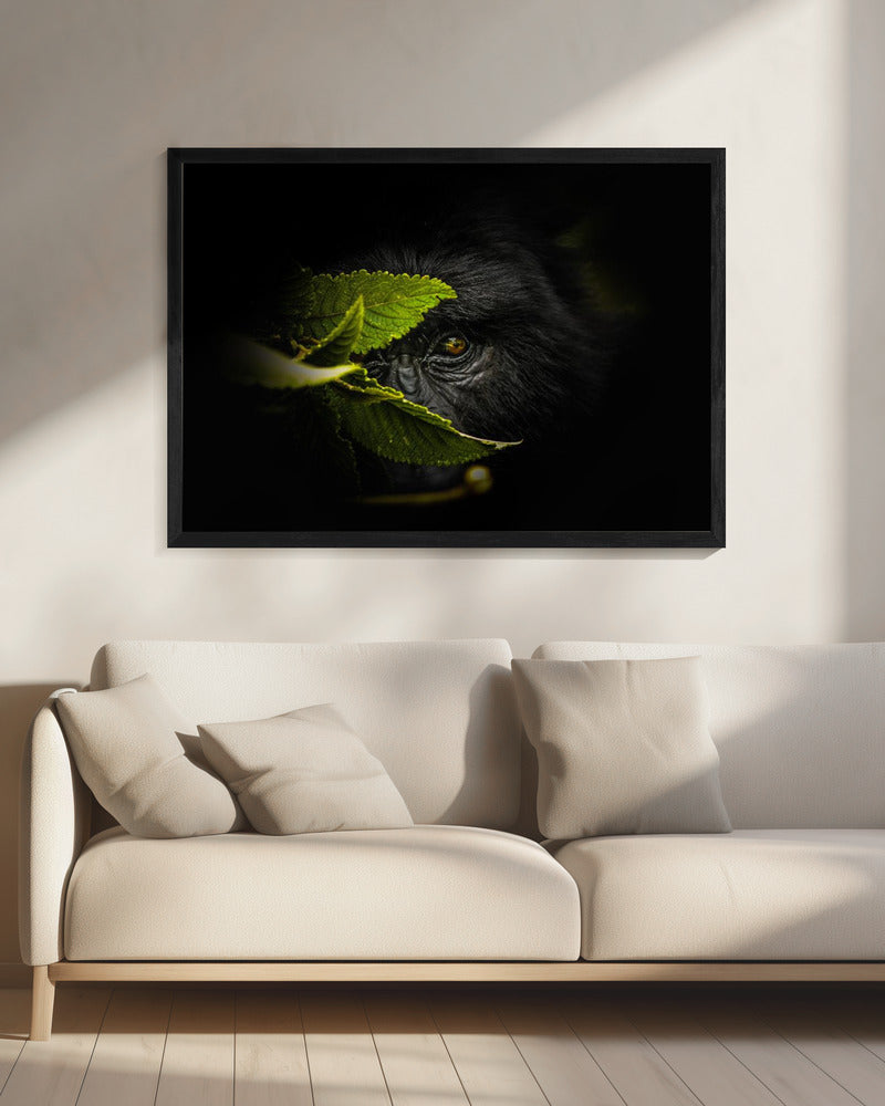 Geheimnisse bewahren | Leinwand