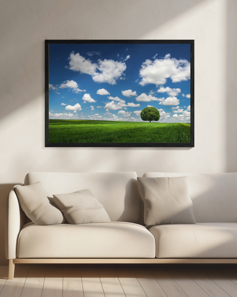 Einsamer Baum | Leinwand