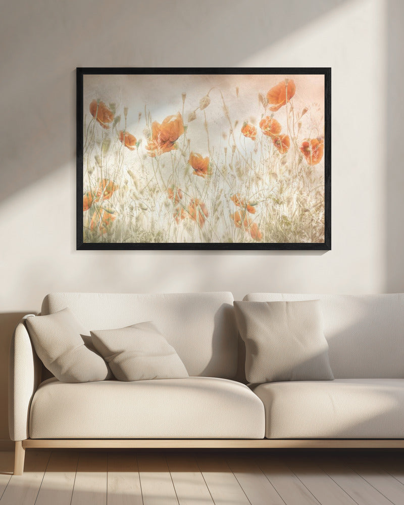 Mohnblumen auf dem Feld | Leinwand
