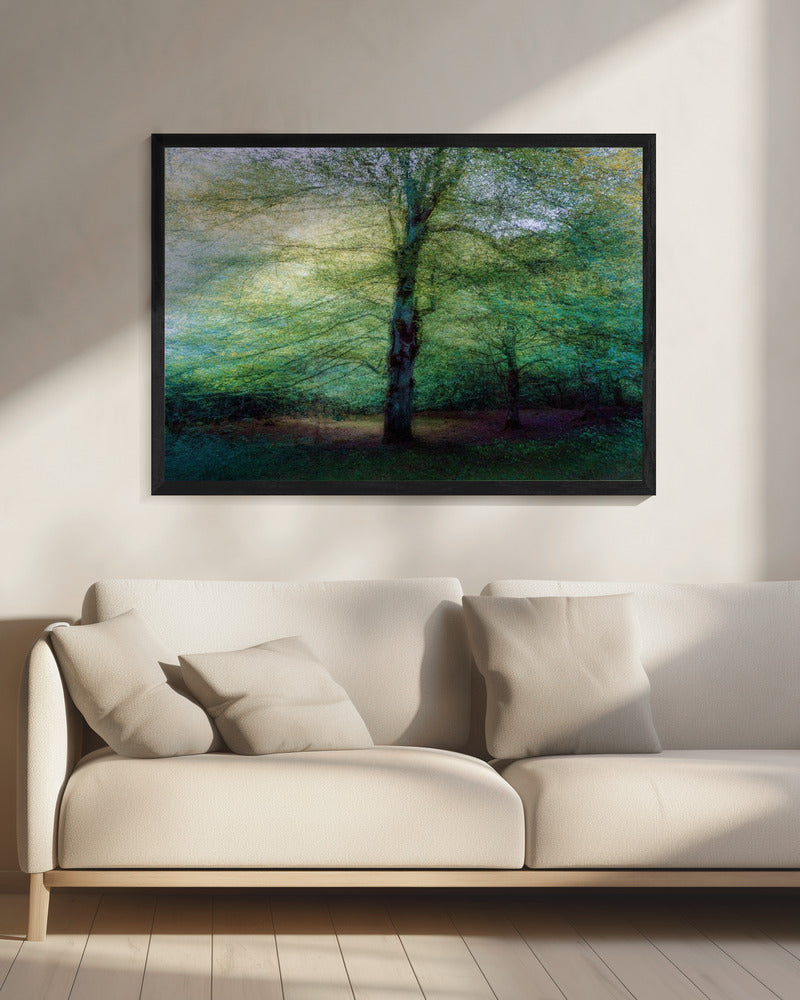 Wald | Leinwand