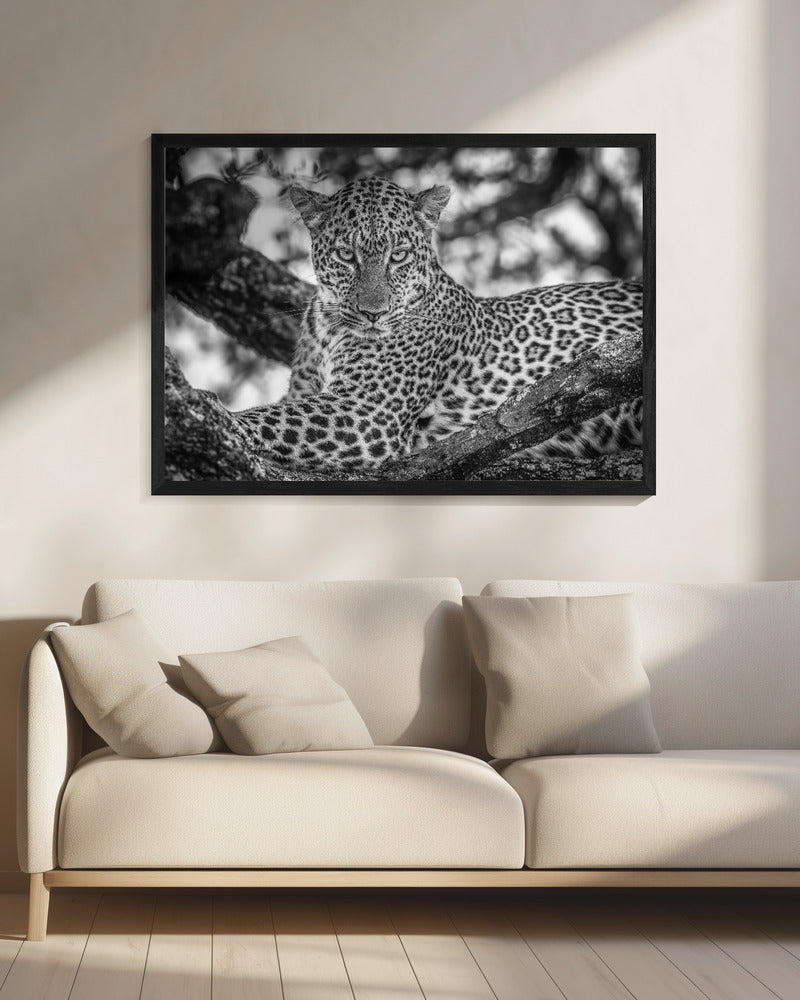 Monochrome Schönheit | Leinwand