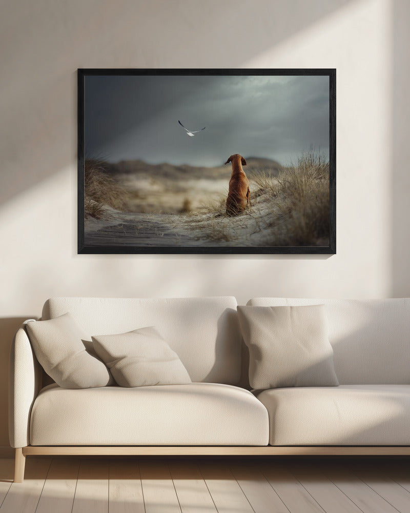 FREEDOM (II) | Canvas