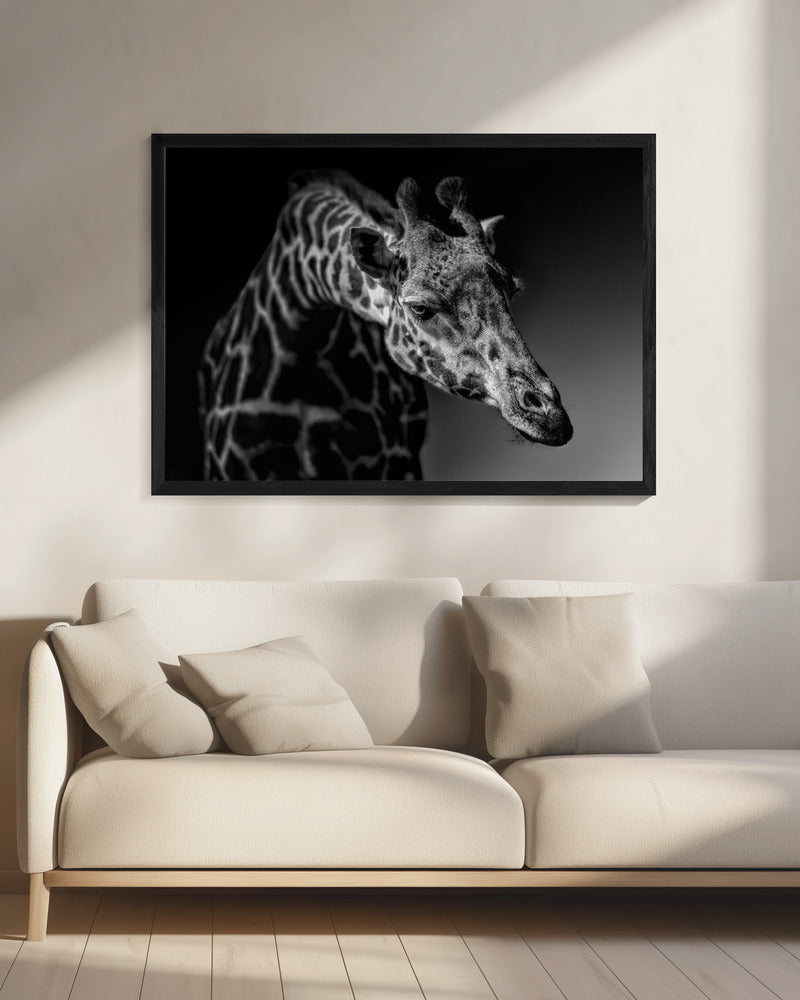 Giraffe | Leinwand