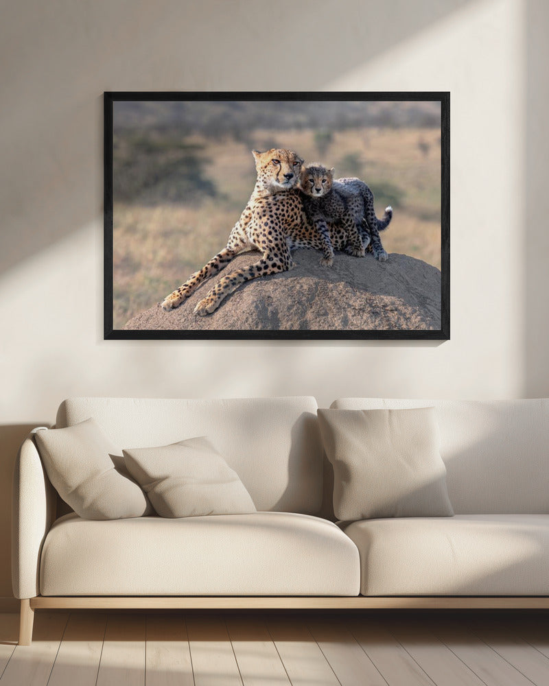 Gepard und Tasse! | Leinwand