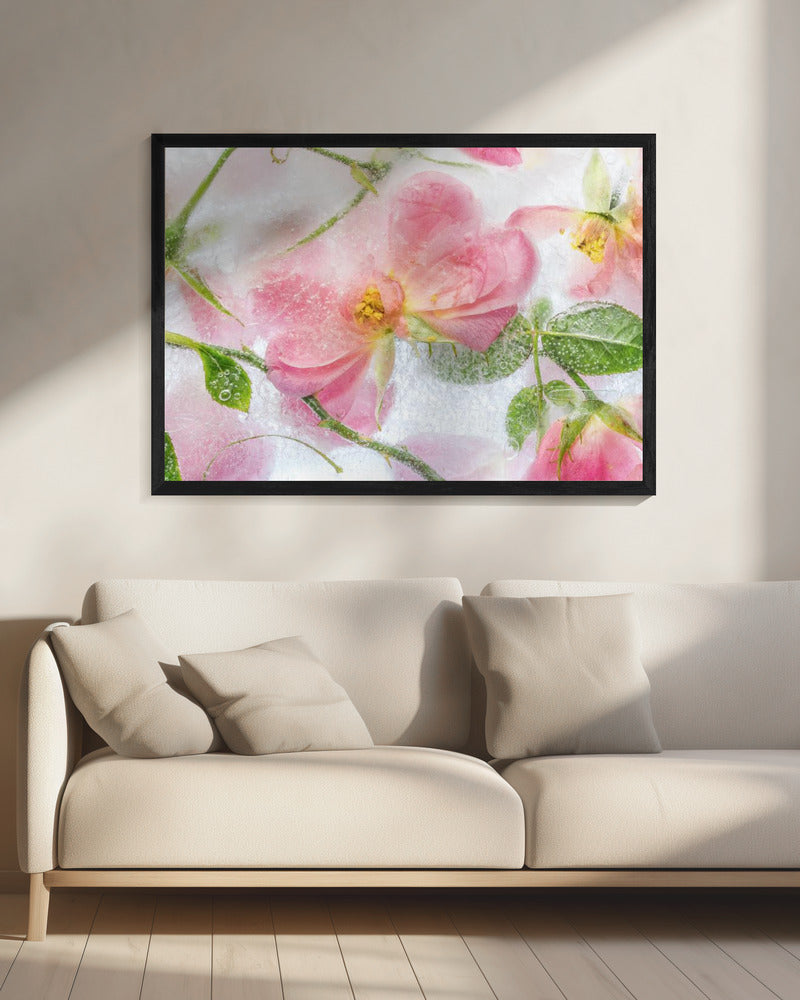 Rosa | Leinwand