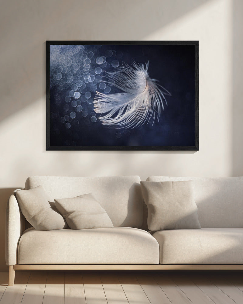 Placidity | Canvas