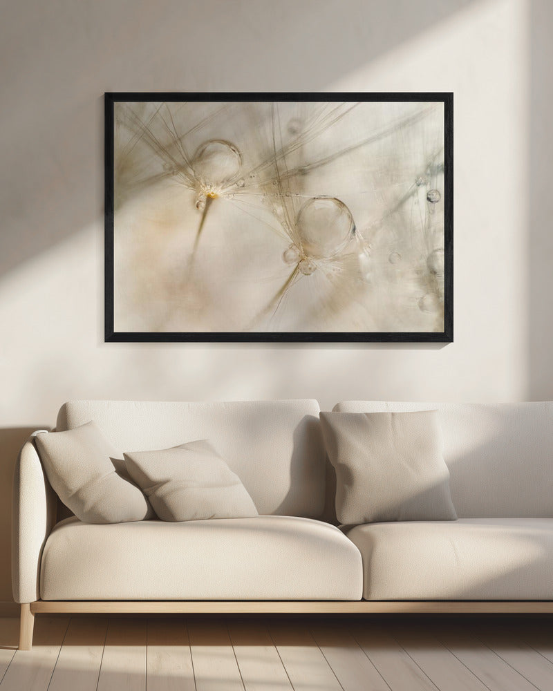 Watercolors | Canvas