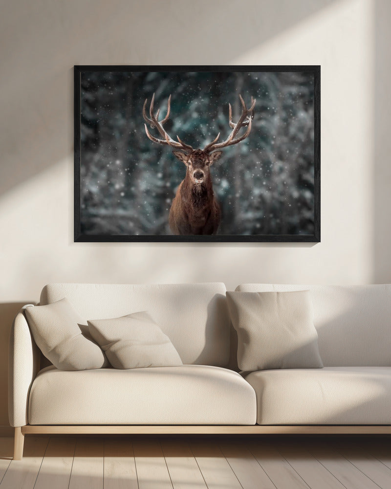 Deer King | Canvas