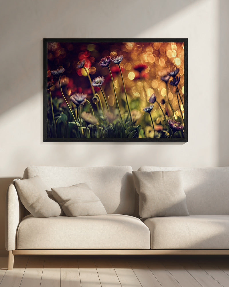 Ohne Titel | Leinwand