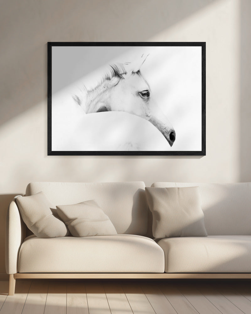 Pferd und Minimalismus | Leinwand