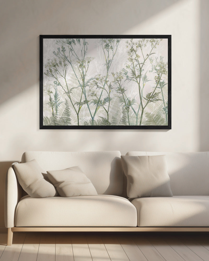 Wiesenkerbel | Leinwand