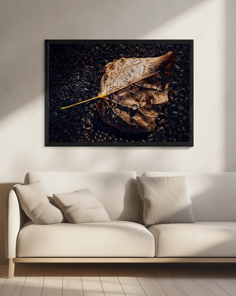 Blatt | Leinwand