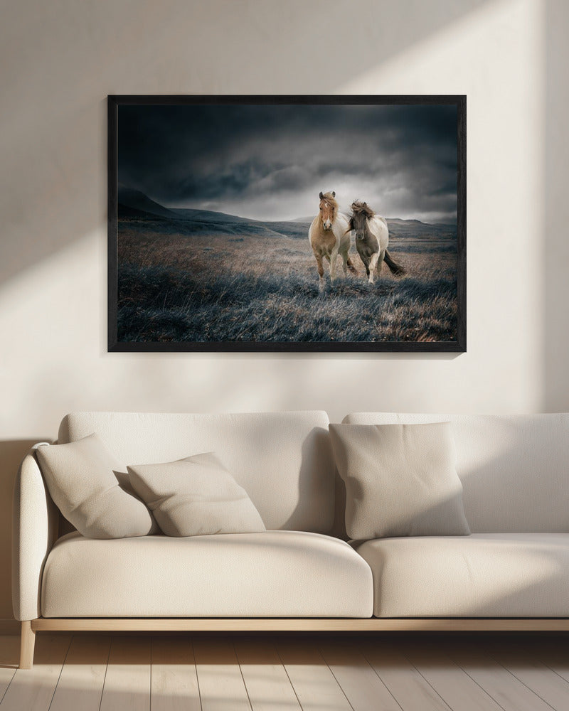 The brothers | Canvas