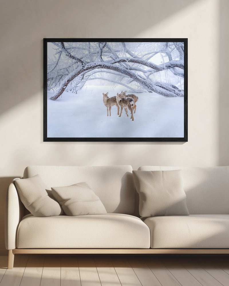 Deers' Walk in Snow | Canvas