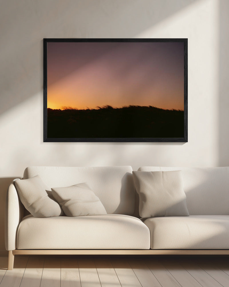 Dünengras Sonnenuntergang Horizontal | Leinwand