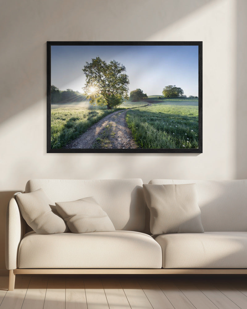 Frühlingspfad | Leinwand