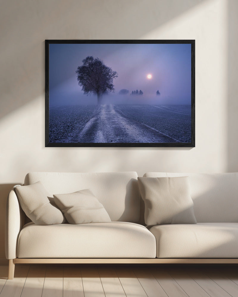 Mondbeleuchteter Pfad | Leinwand
