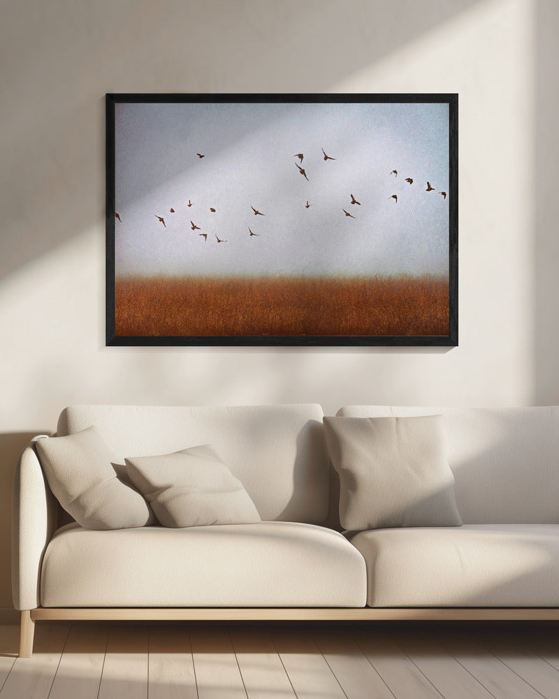 freedom | Canvas