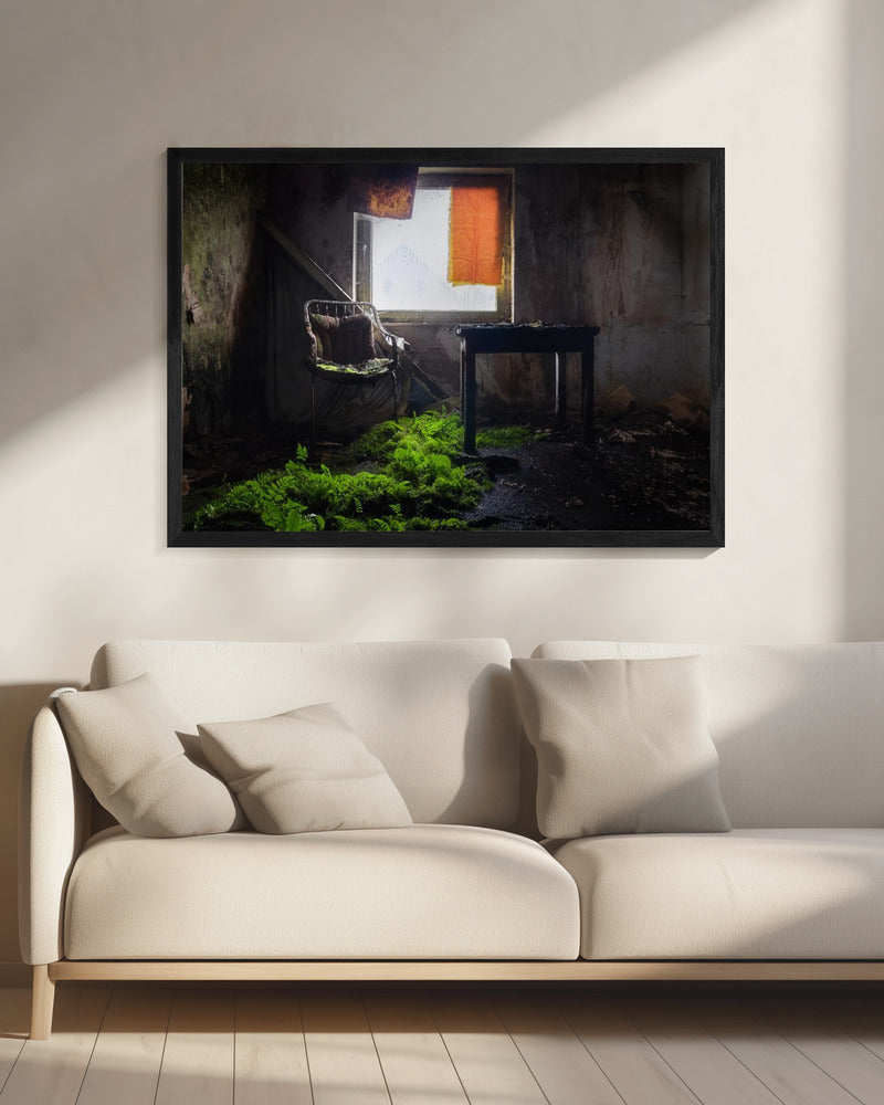 Plants in Line | Canvas