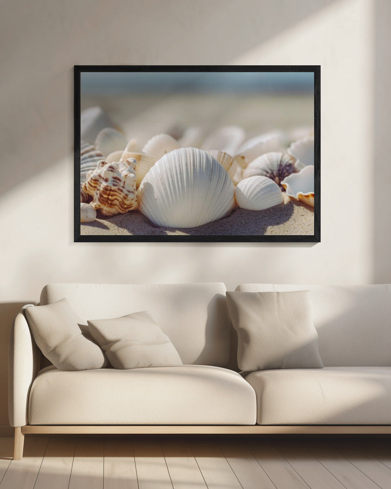 Muscheln am Meer | Leinwand