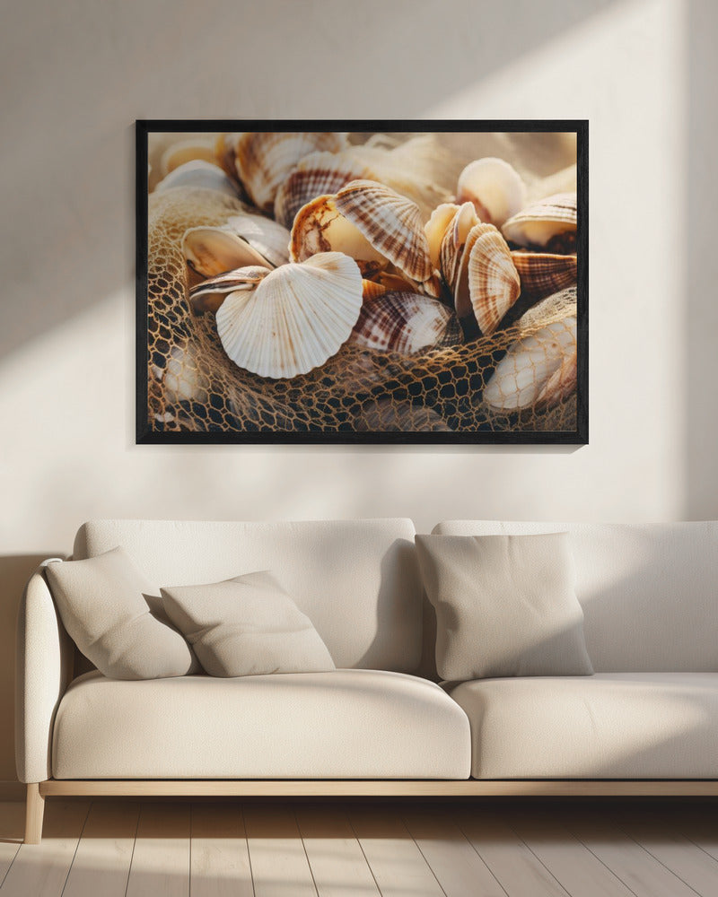 Muschelsymphonie | Leinwand