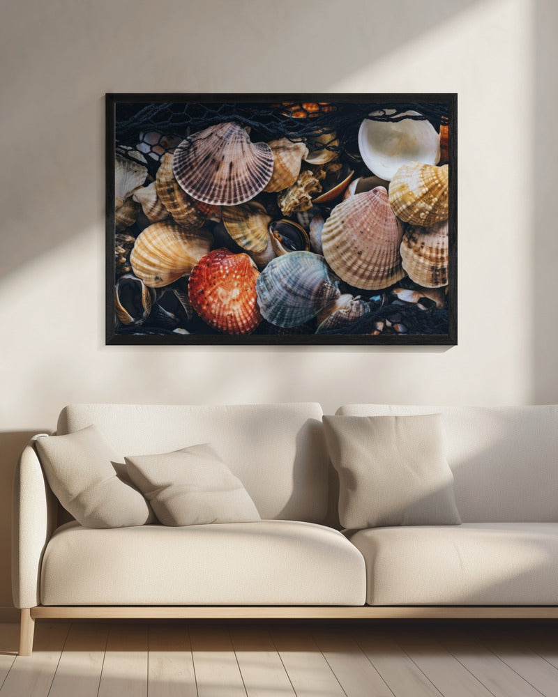 Muschelsymphonie | Leinwand