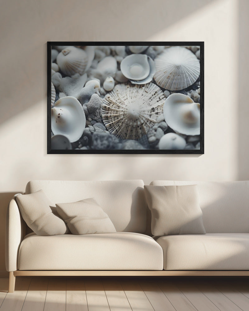 Muschelsymphonie | Leinwand