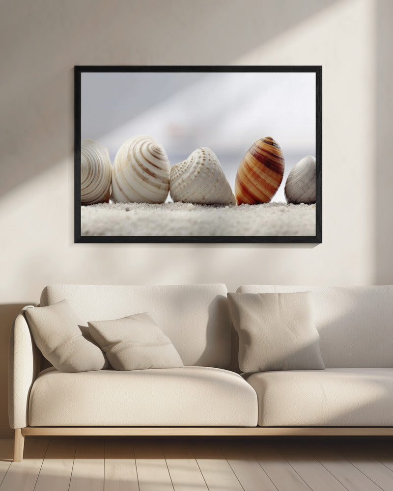 Muschelsymphonie | Leinwand