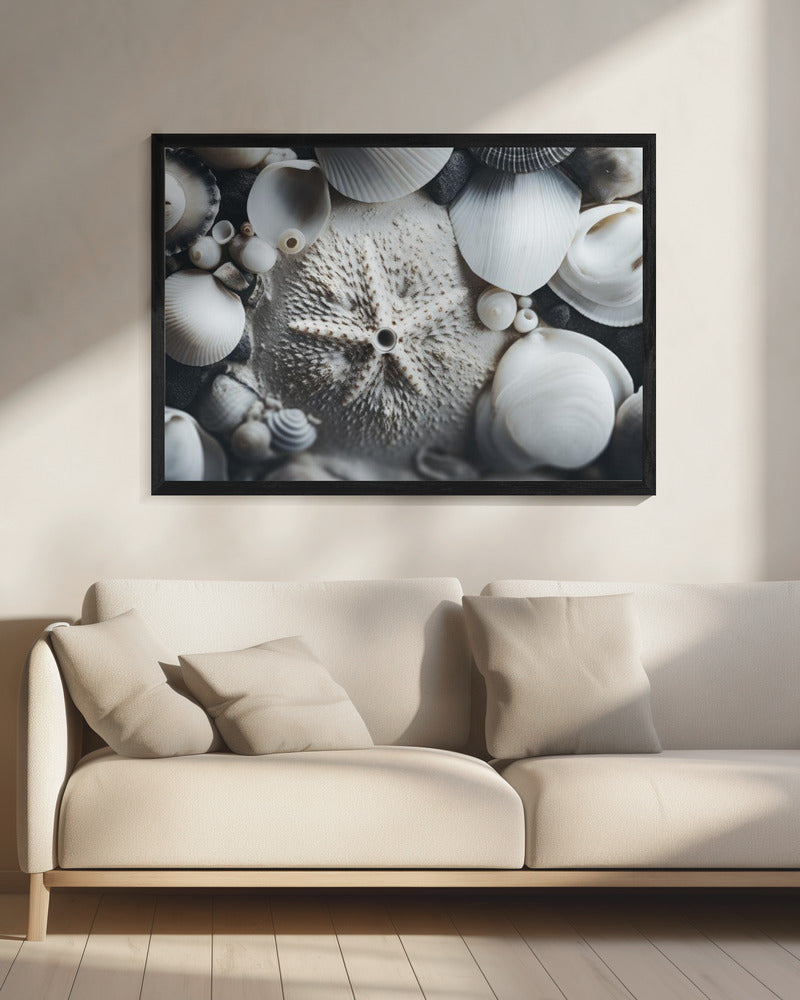 Muschelsymphonie | Leinwand