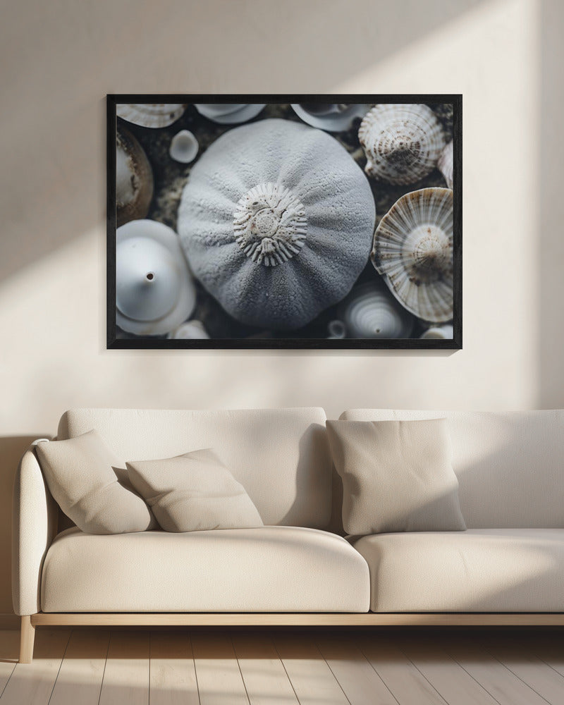 Muschelsymphonie | Leinwand