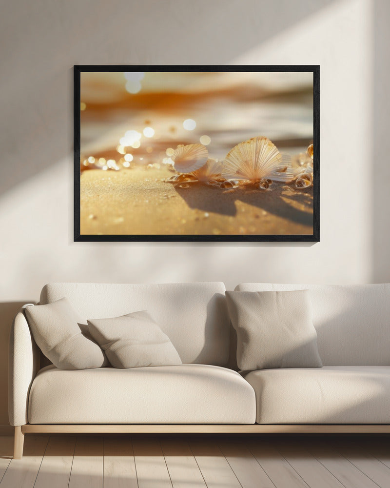 Sonnenbeschienene Muscheln | Leinwand