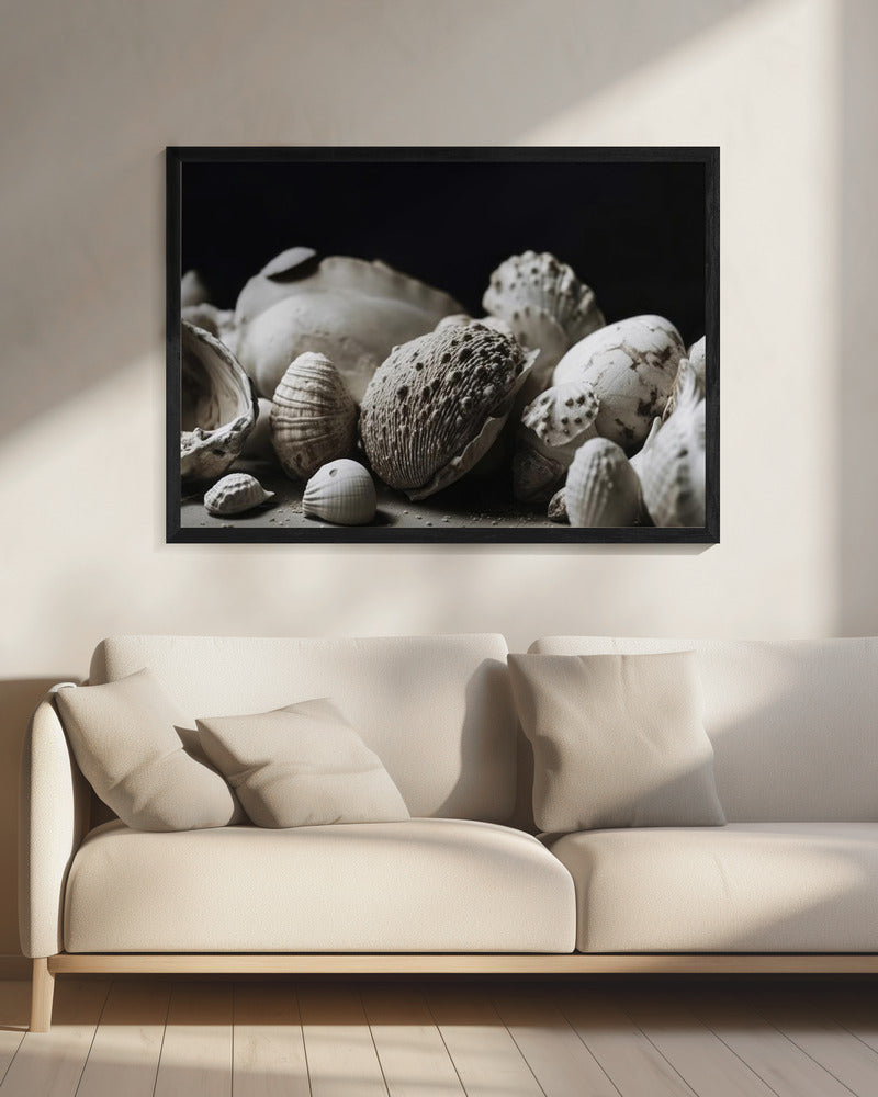 Muschelsymphonie | Leinwand
