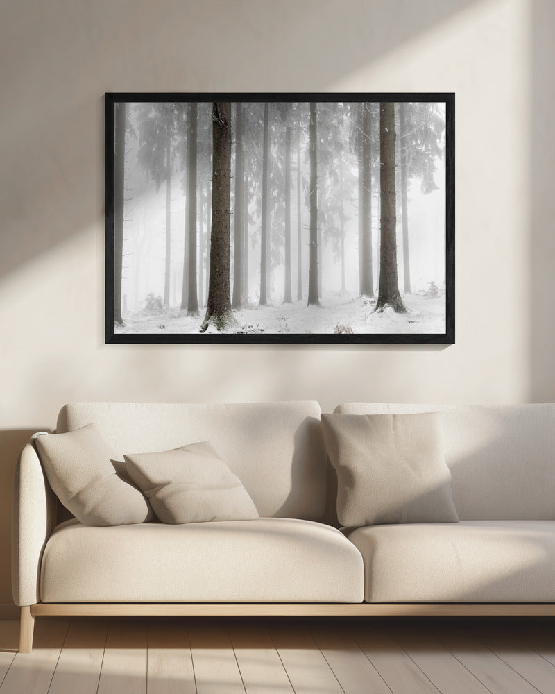 Winter Forest | Canvas