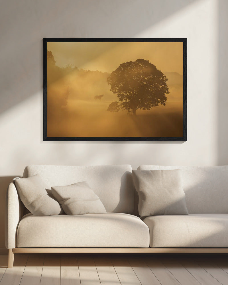 Herbstmorgen | Leinwand