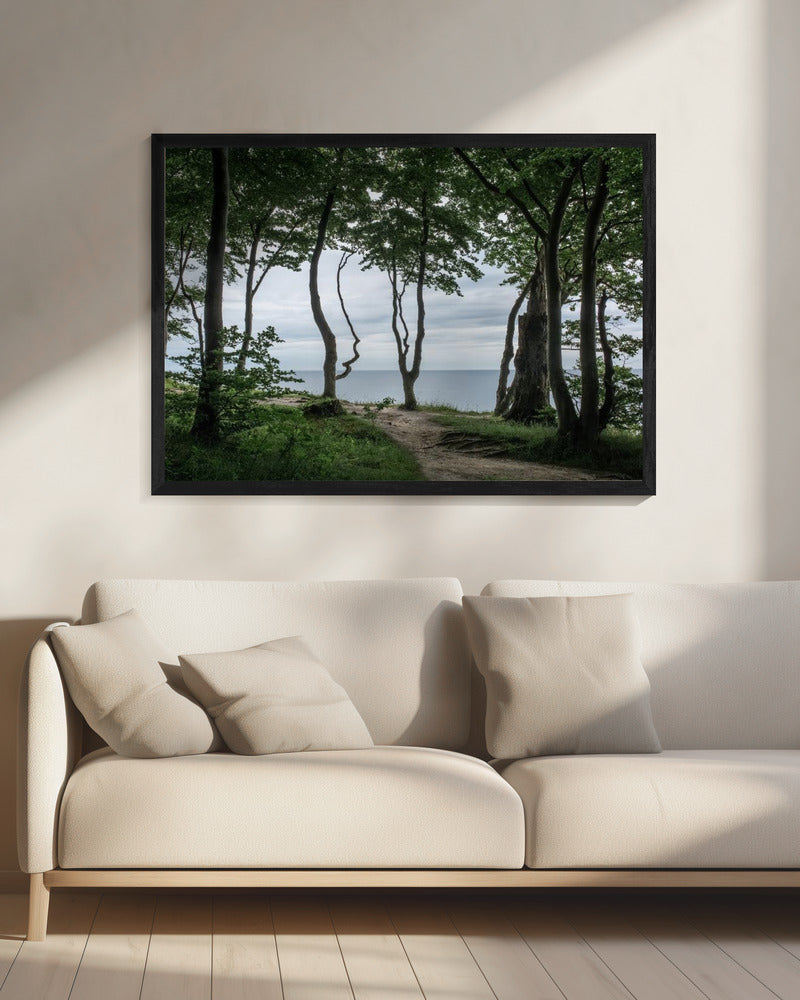 Wald am Meer 2 | Leinwand