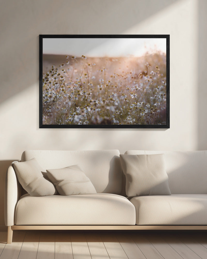 Sommermorgen 7 | Leinwand