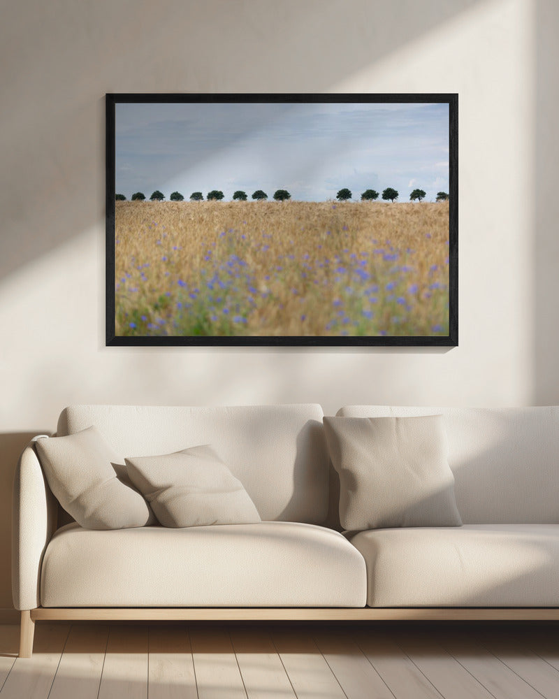 Nordische Momente 4 | Leinwand
