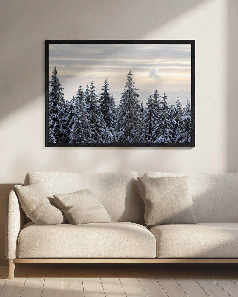 Schneebedeckte Bäume 8 | Leinwand