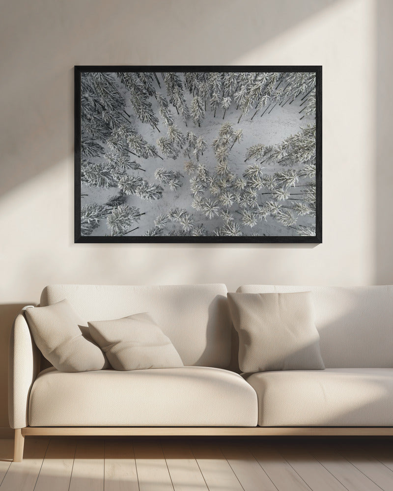 Schneebedeckte Bäume 3 | Leinwand