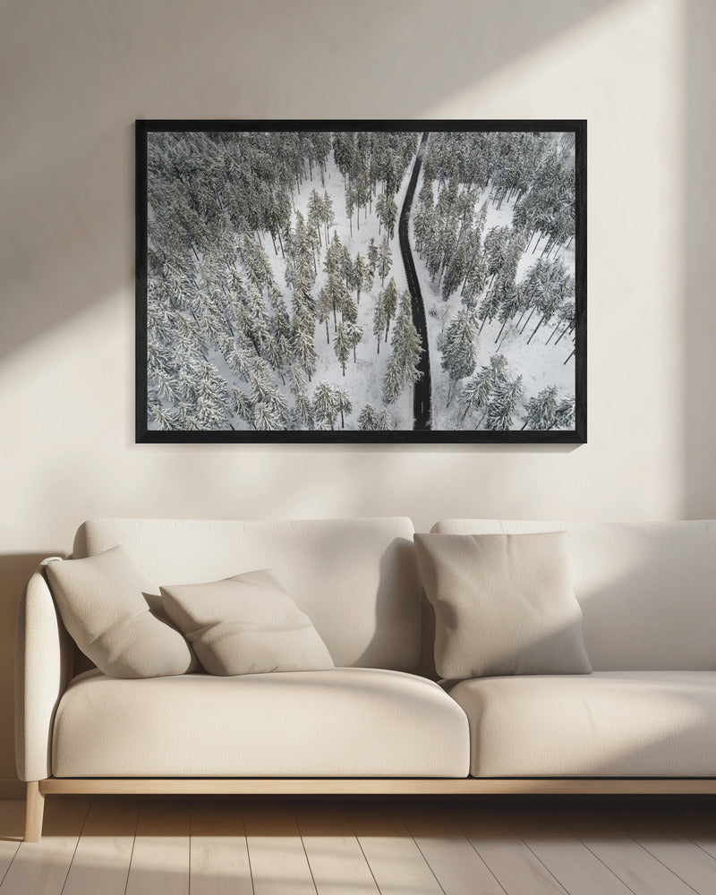 Schneebedeckte Bäume 5 | Leinwand