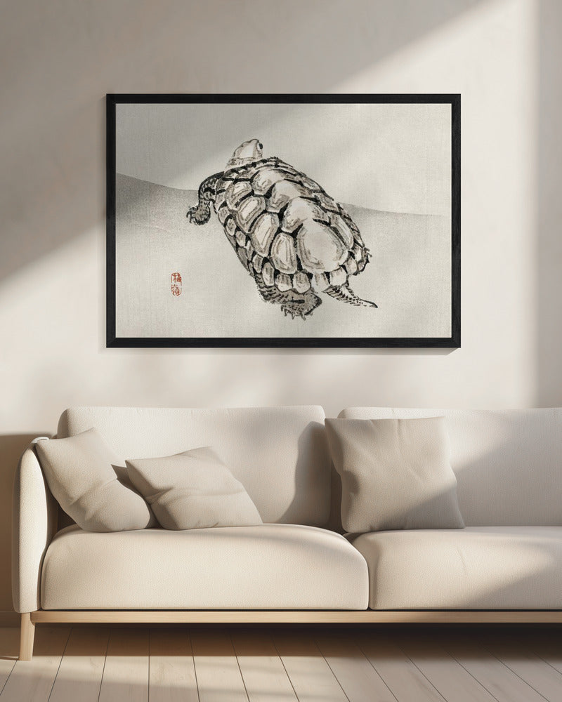 Schildkröte | Leinwand