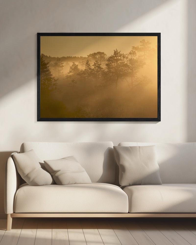 20220809 Dsf8002 1 | Leinwand