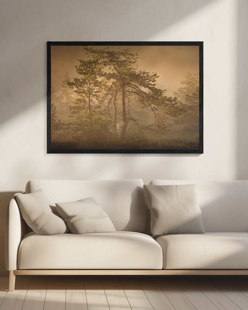 20220809 Dsf8003 1 | Leinwand