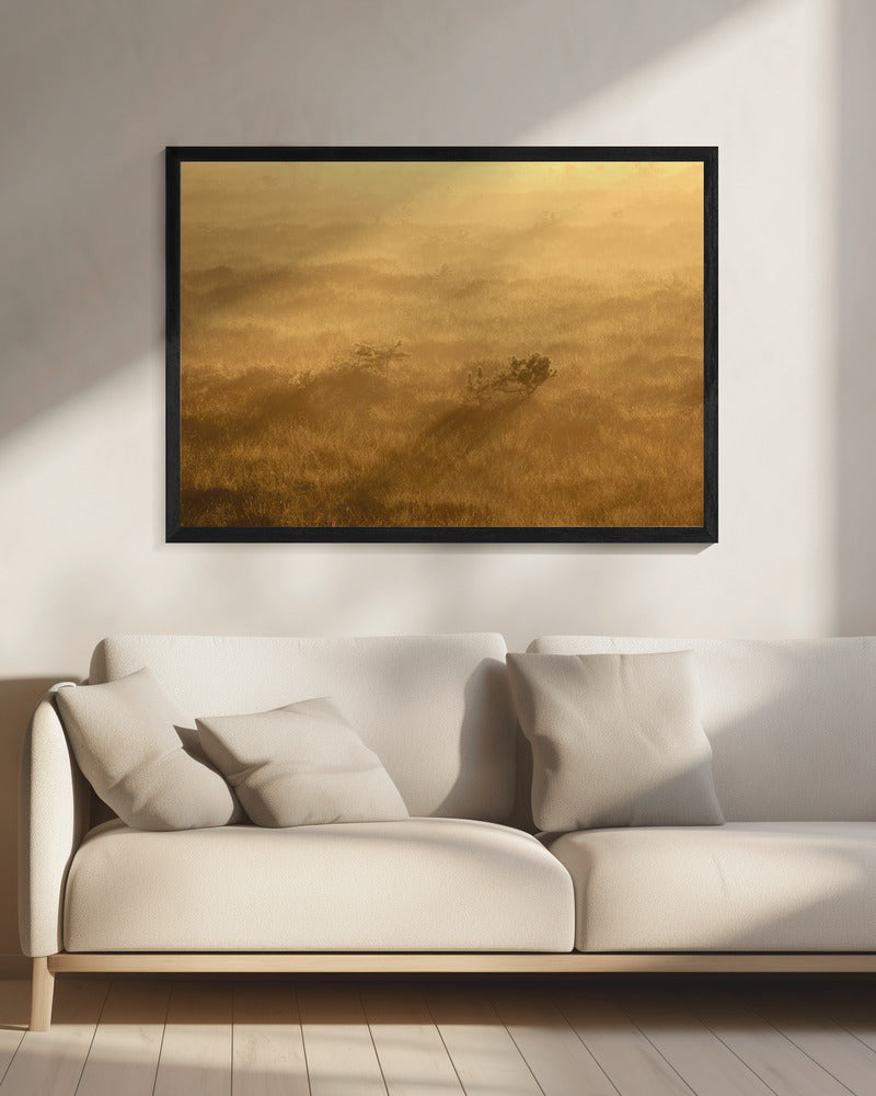 20220809 Dsf8027 1 | Leinwand