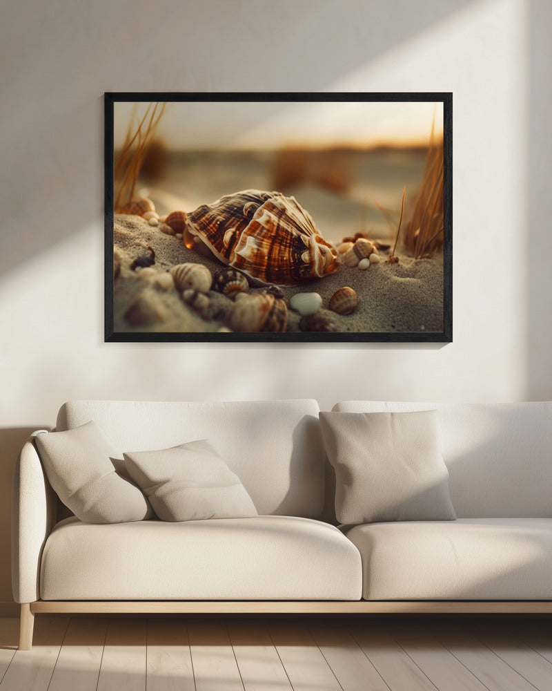 Muscheln bei Sonnenuntergang | Leinwand