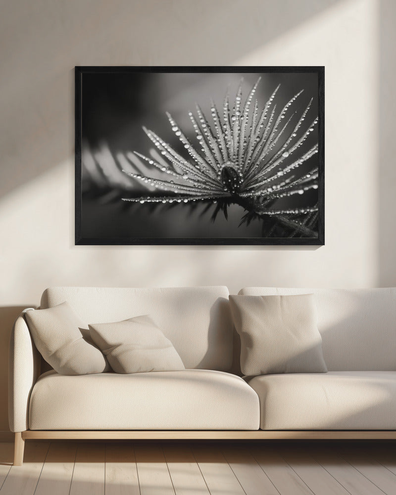 Taufrische Eleganz | Leinwand